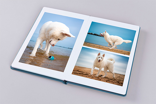 A custom-designed acrylic front image album imported from Europe