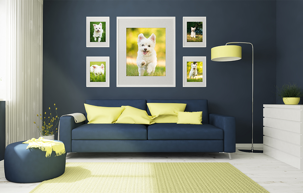 A wall gallery of dog artwork