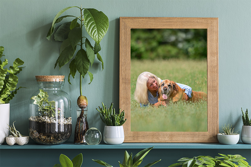A framed print of a woman and her senior dog by Windhound Photography