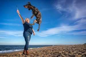 Springtime exercise, a pointer dog leaps for his owner at Virginia Beach oceanfront
