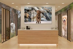 Animal themed office and walls
